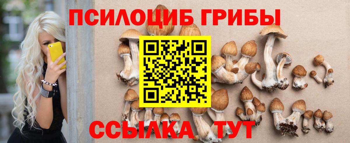 ГАШИШ  Марихуана  Кокаин  Шатура  Меф   Вход с VPN 